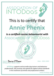 INTODogs certificate